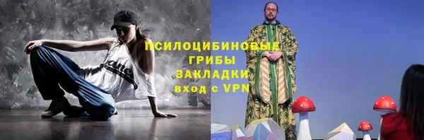 mdpv Вяземский