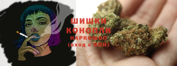 mdpv Вяземский