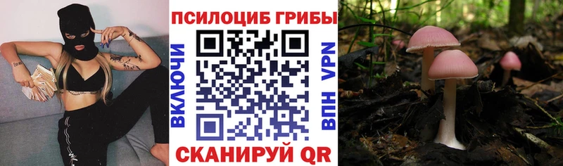 закладка  Отрадное  Псилоцибиновые грибы ЛСД 